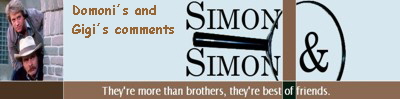 Simon & Simon net - Gigi�s and Domoni�s comments